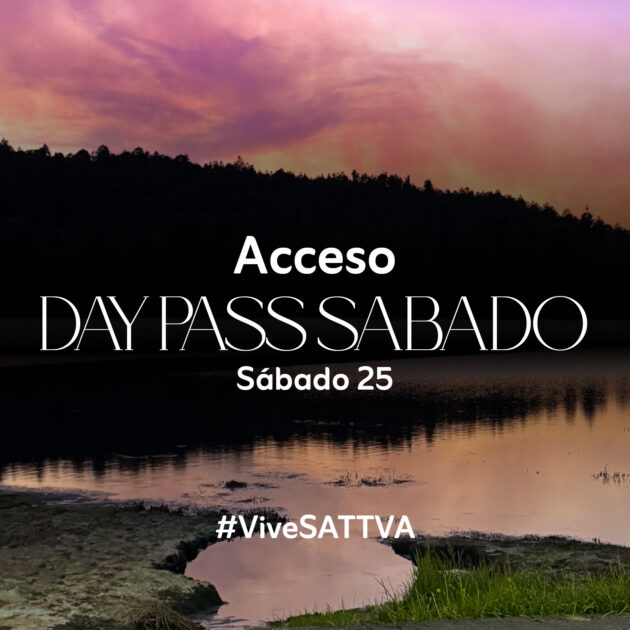 Day Pass Sábado